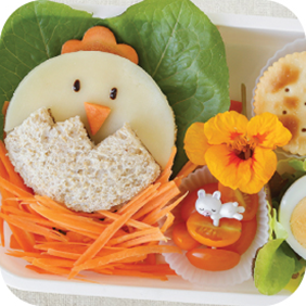 DIY Birdie Box